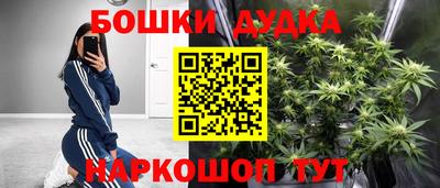 PSILOCYBIN Гусиноозёрск