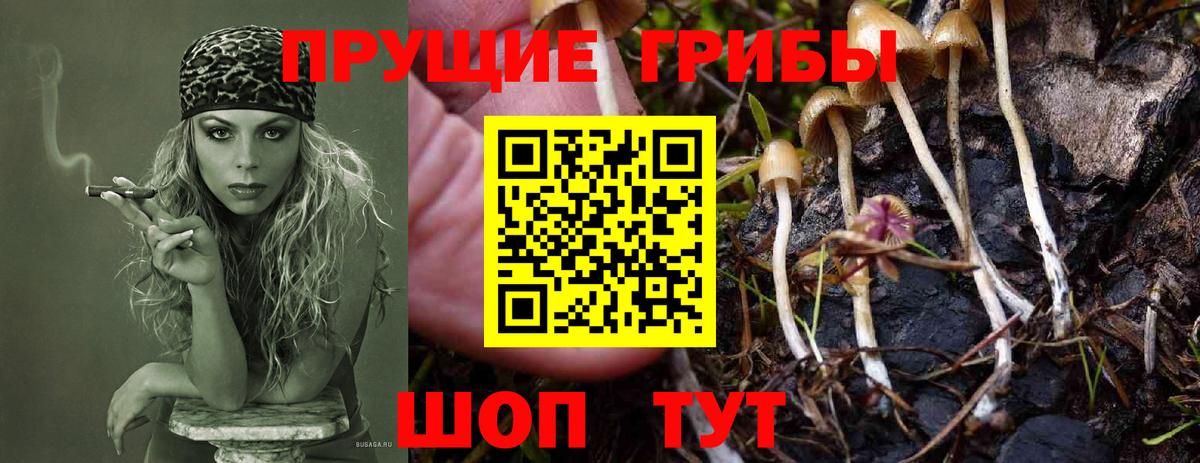Псилоцибиновые грибы Magic Shrooms Нижний Новгород