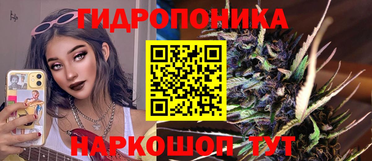Бошки марихуана гибрид  Вход с VPN  Бошки марихуана VHQ  Нижний Новгород 